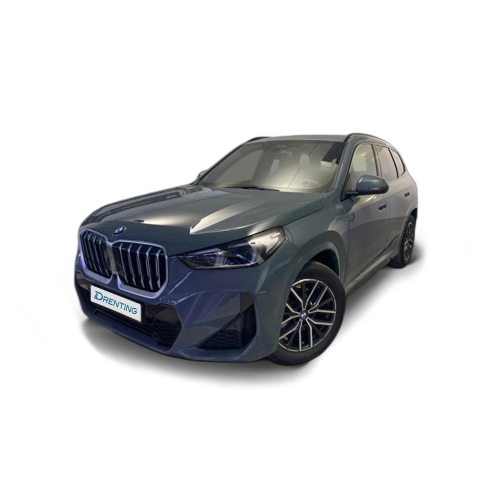 BMW X1 xDrive20d 120 kW (163 CV) 21 2