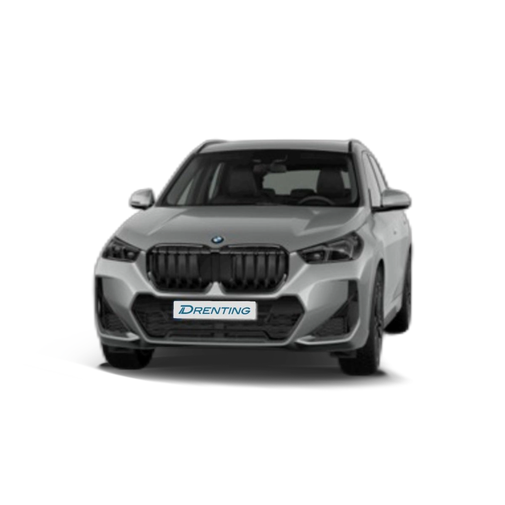 Renting BMW X1 xDrive20d 120 kW (163 CV) 22