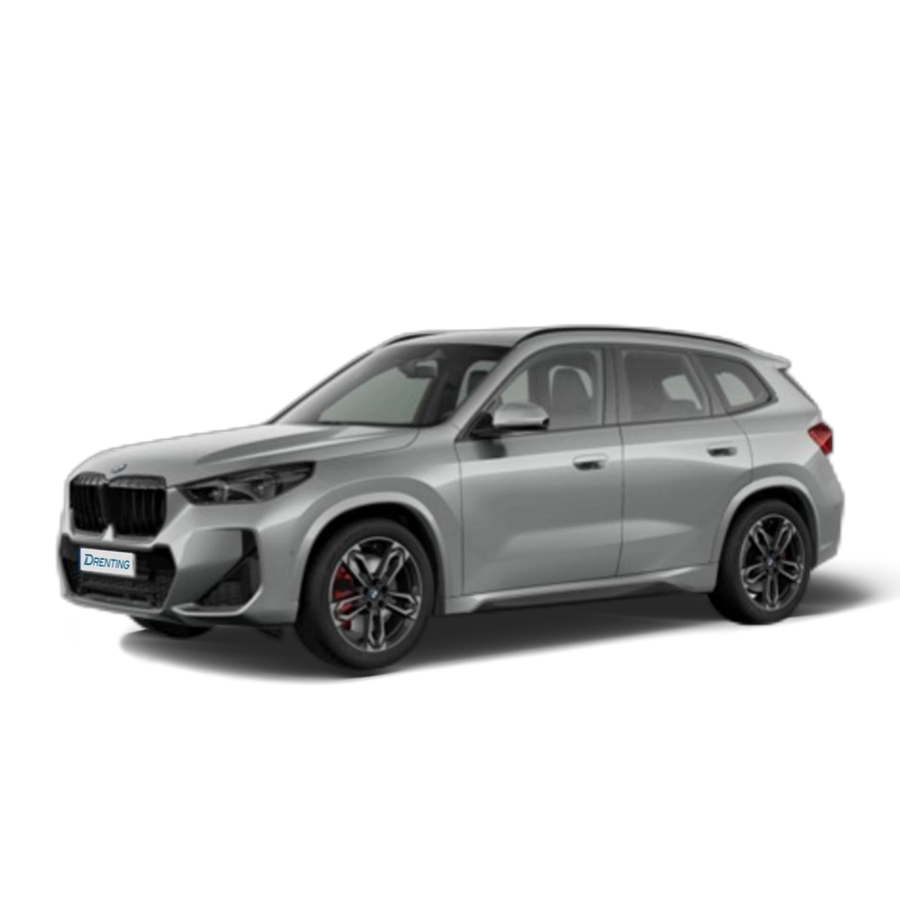 Renting BMW X1 xDrive20d 120 kW (163 CV) 22