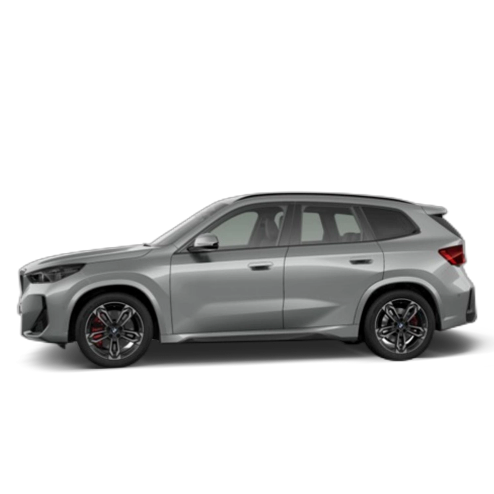 Renting BMW X1 xDrive20d 120 kW (163 CV) 22