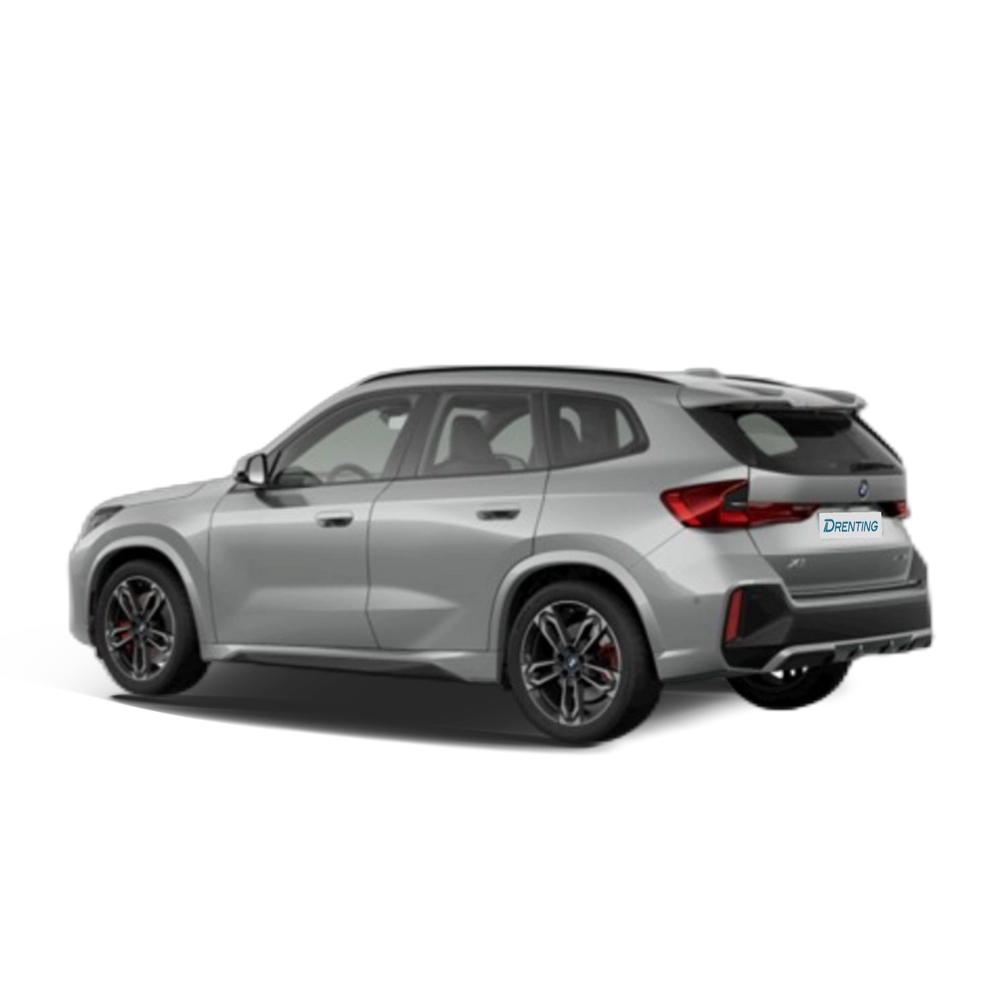 Renting BMW X1 xDrive20d 120 kW (163 CV) 22