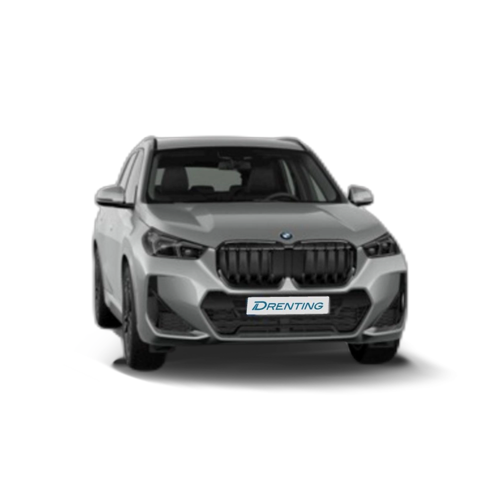 Renting BMW X1 xDrive20d 120 kW (163 CV) 22