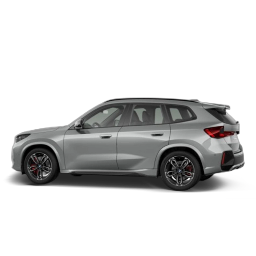 Renting BMW X1 xDrive20d 120 kW (163 CV) 22