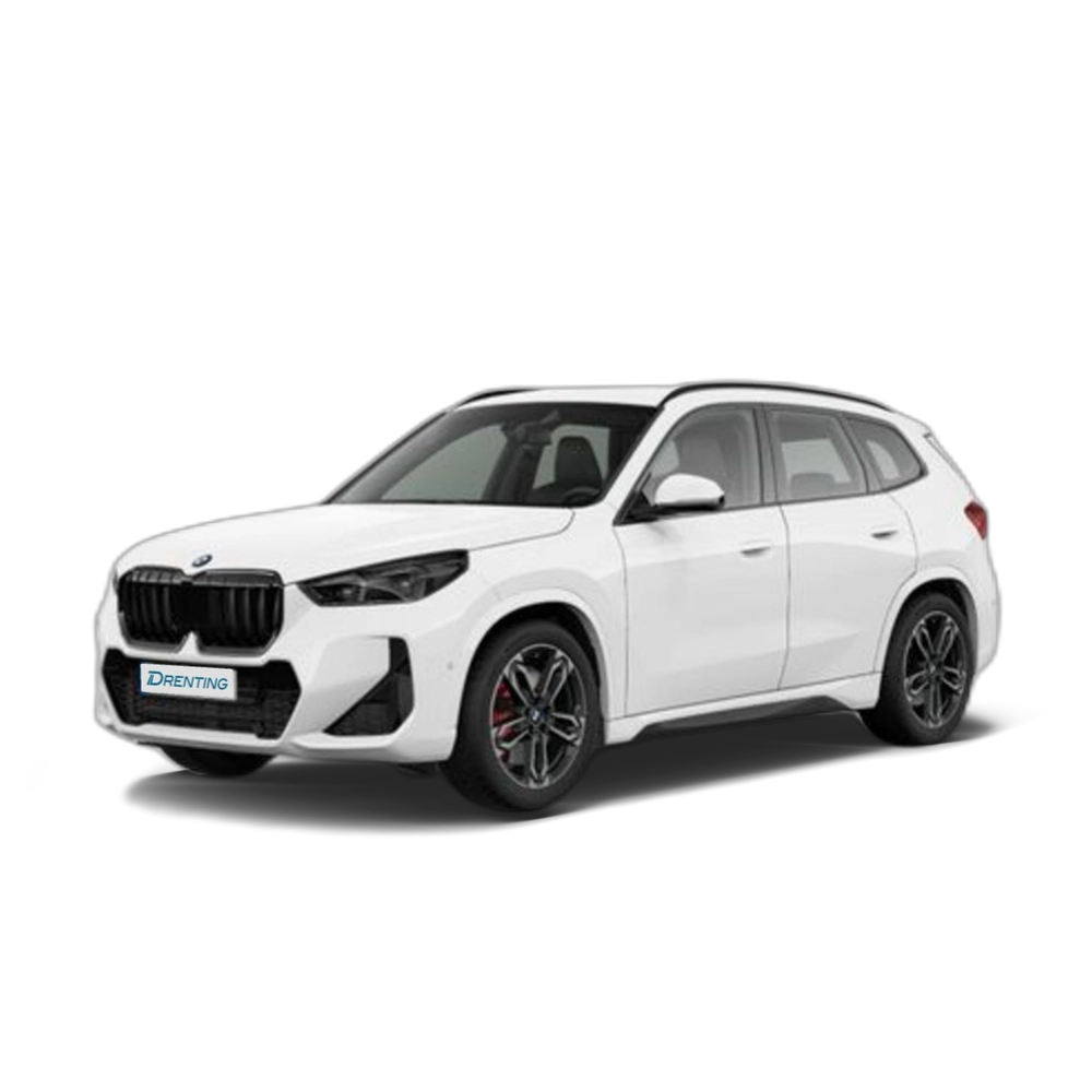 BMW X1 xDrive20d 120 kW (163 CV) 8 3