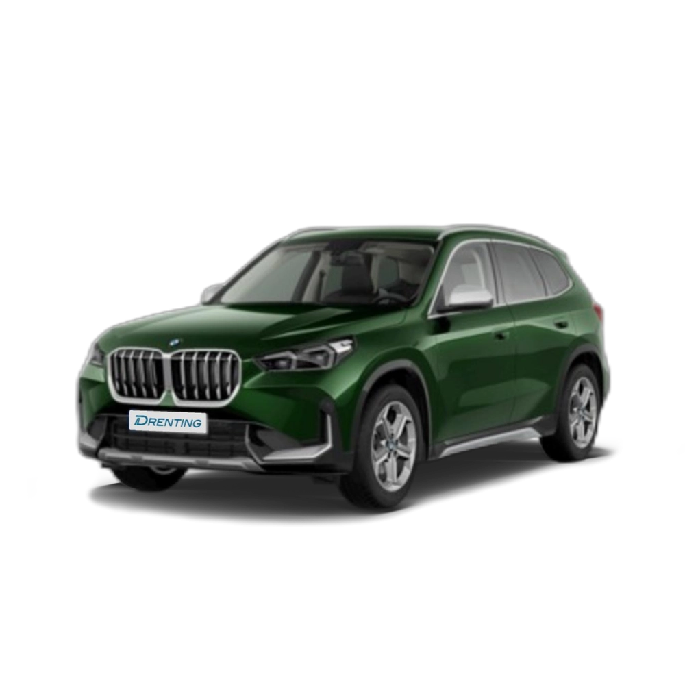 BMW X1 xDrive20d 120 kW (163 CV) 8 5