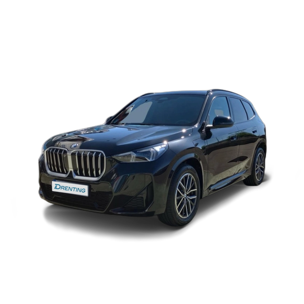 Renting BMW X1 xDrive25e 180 kW (245 CV) 13