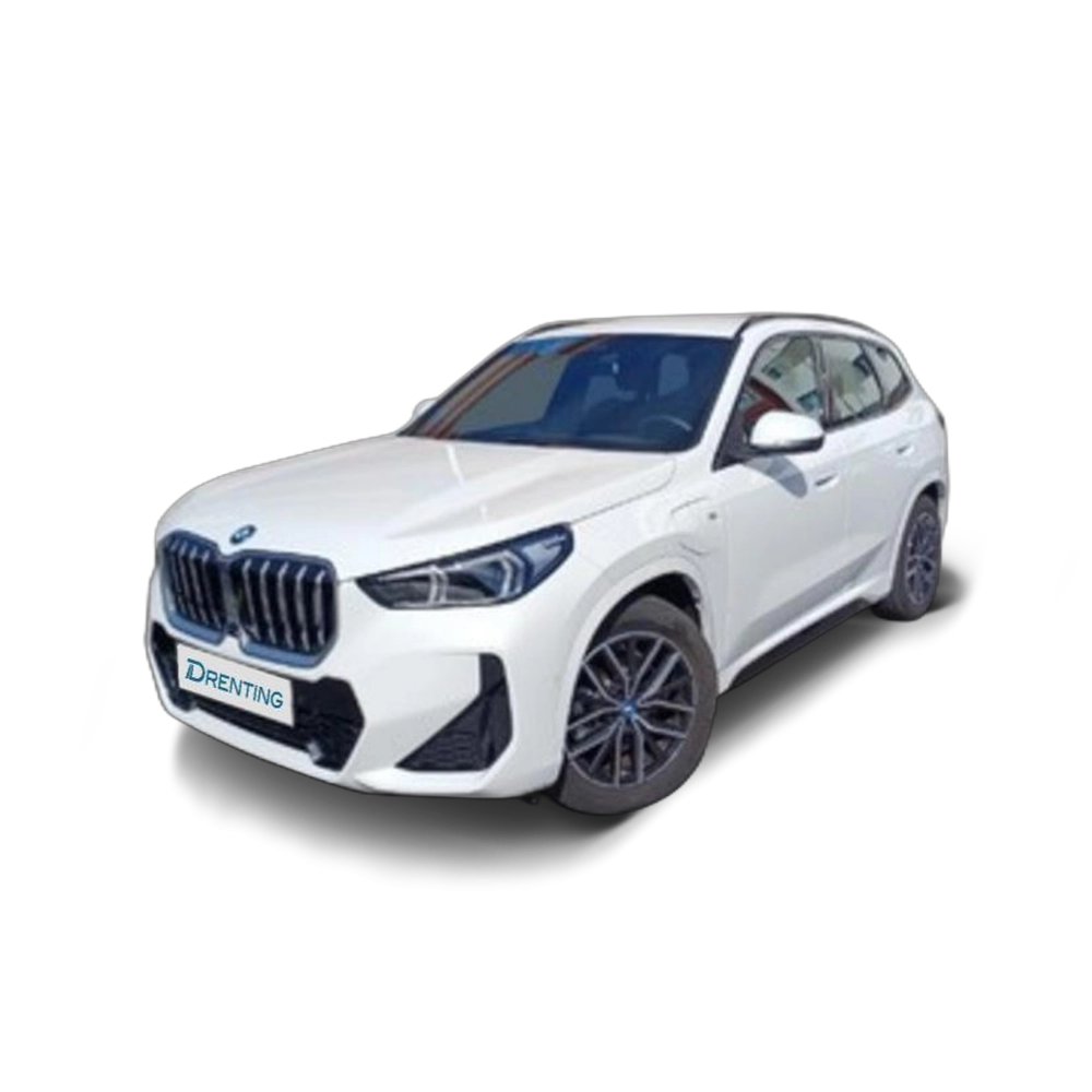 BMW X1 xDrive25e 180 kW (245 CV) 13 19