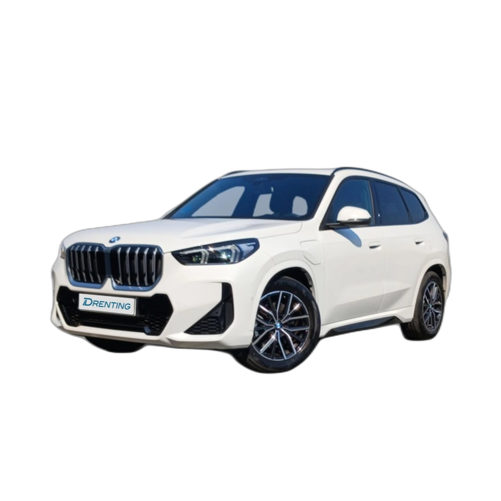 BMW X1 xDrive25e 180 kW (245 CV) 14