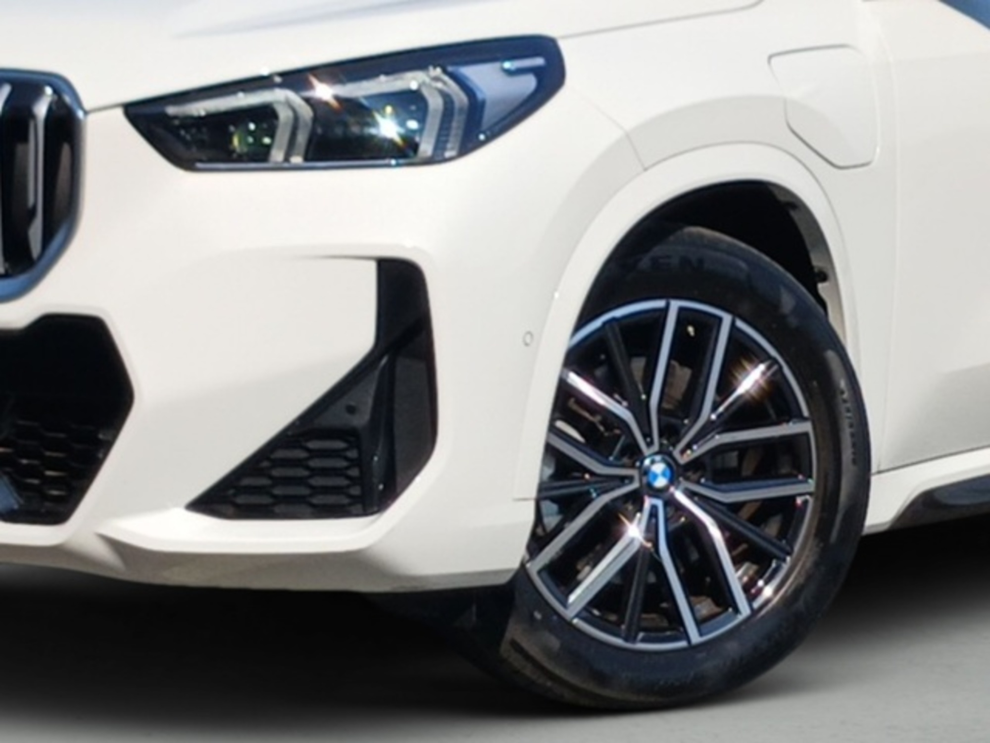 Renting BMW X1 xDrive25e 180 kW (245 CV) 14