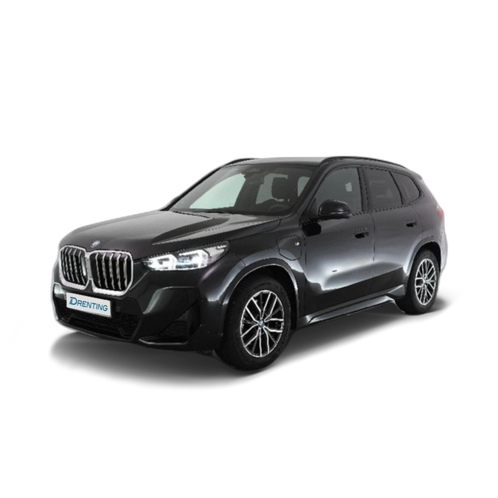 BMW X1 xDrive25e 180 kW (245 CV) 4 18
