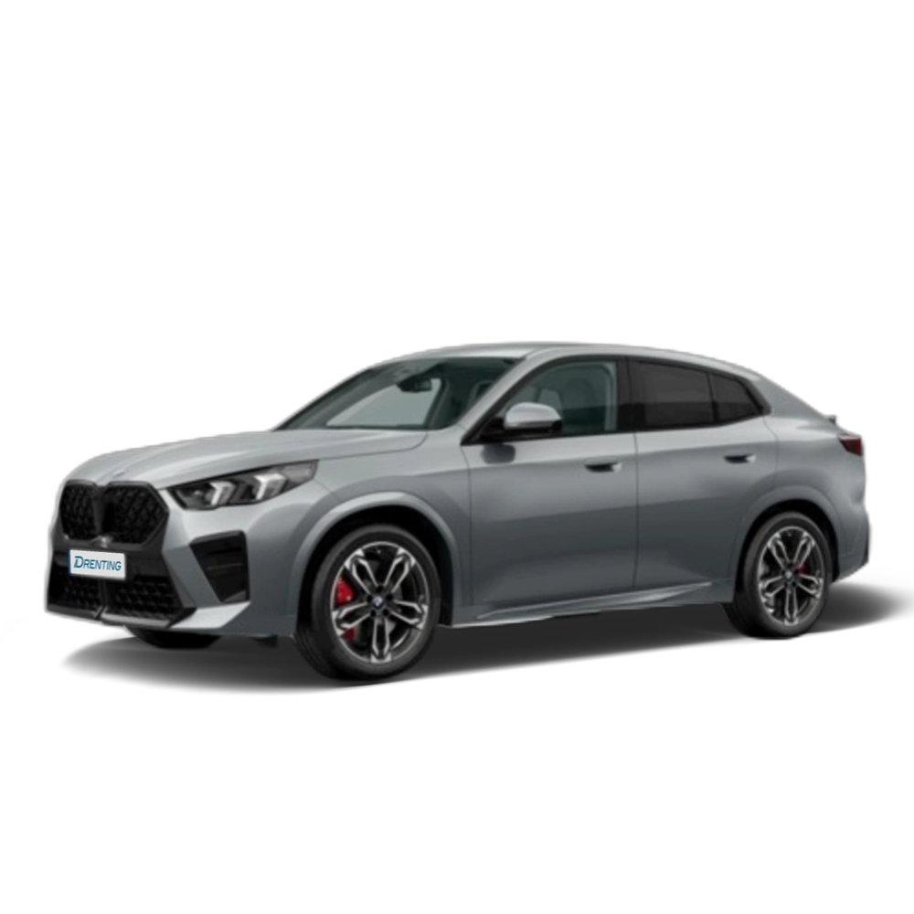 Renting BMW X2 sDrive20d 120 kW (163 CV) 13