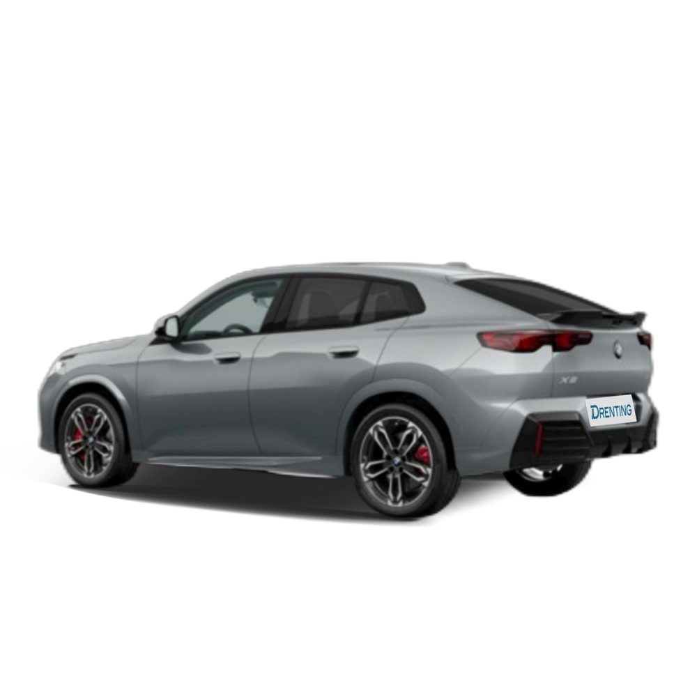 Renting BMW X2 sDrive20d 120 kW (163 CV) 13