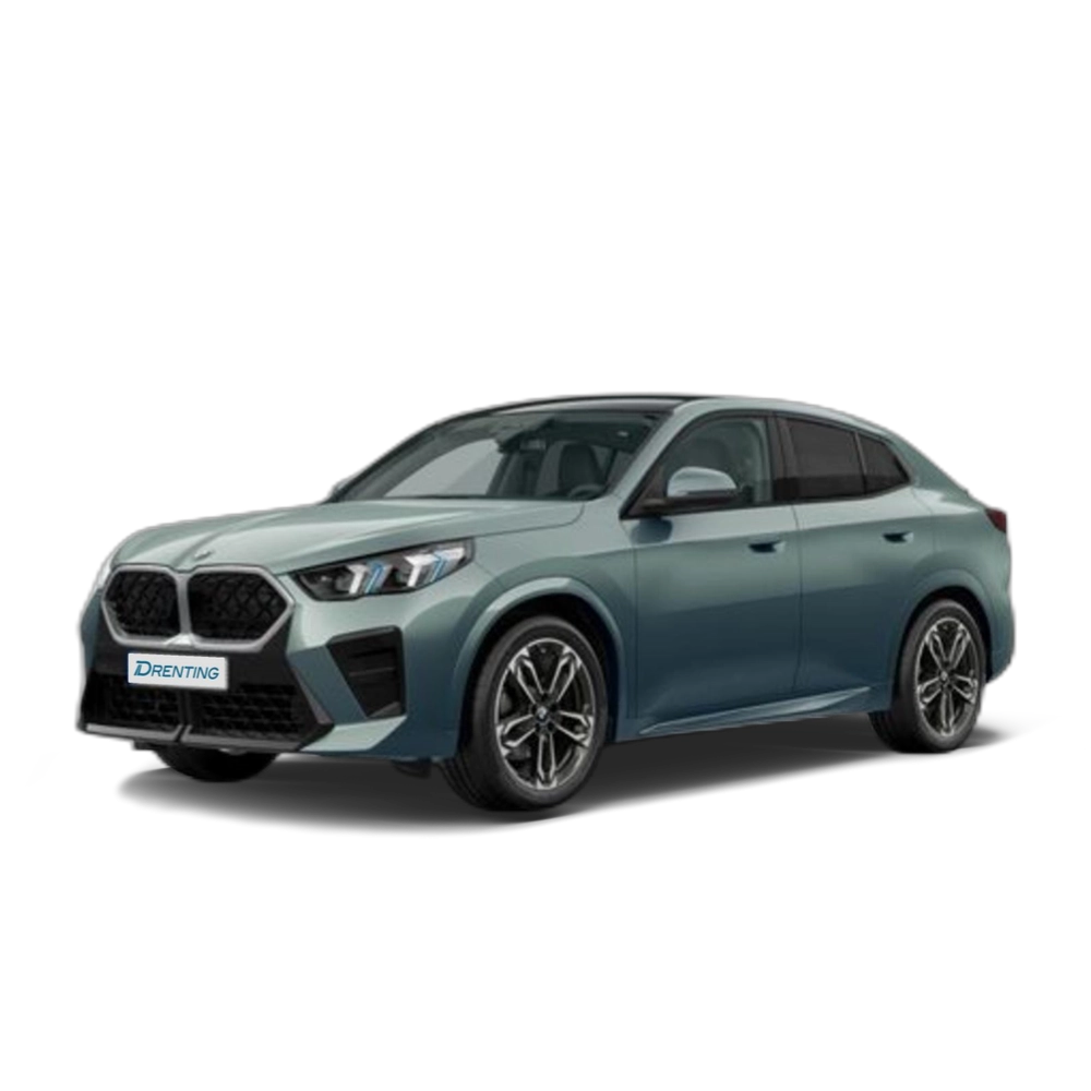 BMW X2 sDrive20d 120 kW (163 CV) 13
