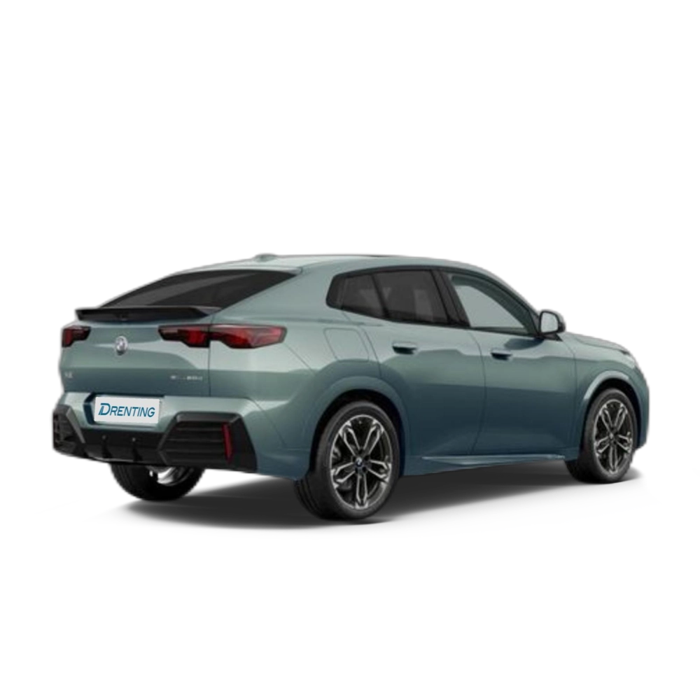Renting BMW X2 sDrive20d 120 kW (163 CV) 13