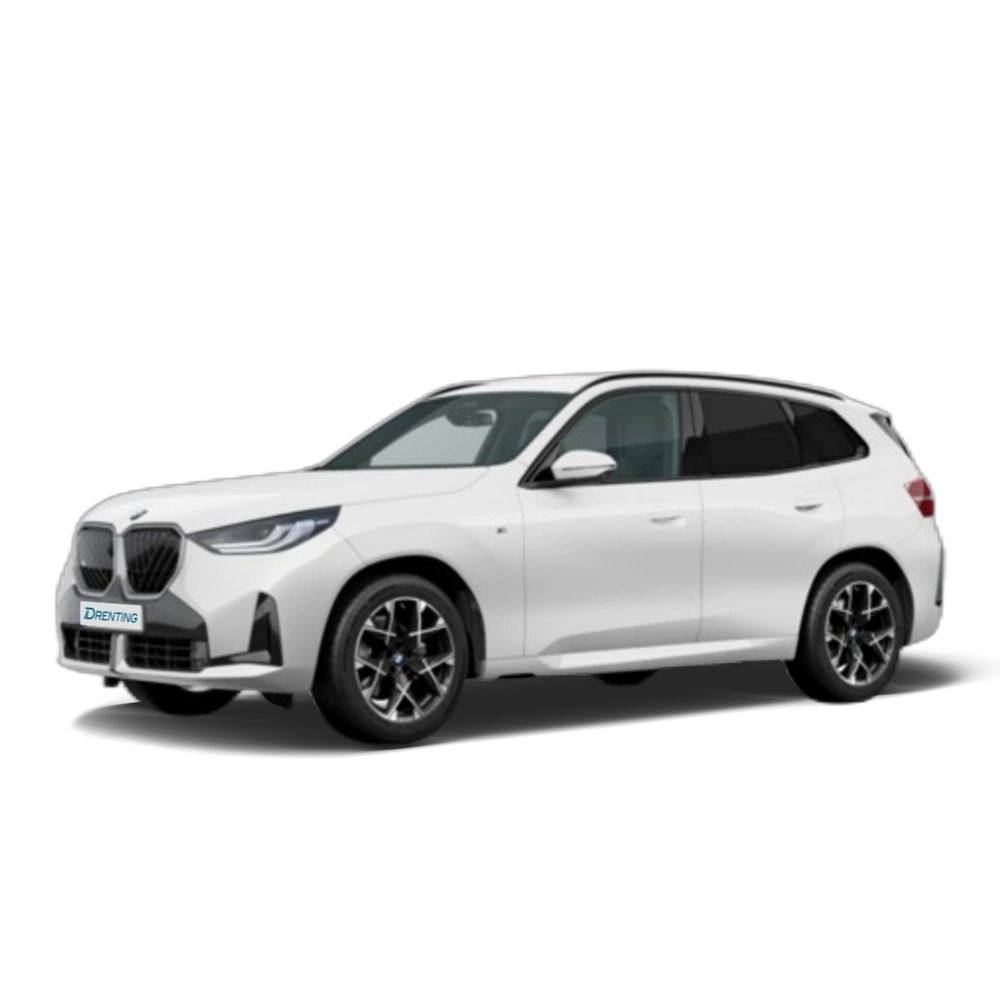 Renting BMW X3 xDrive20d 145 kW (197 CV) 15
