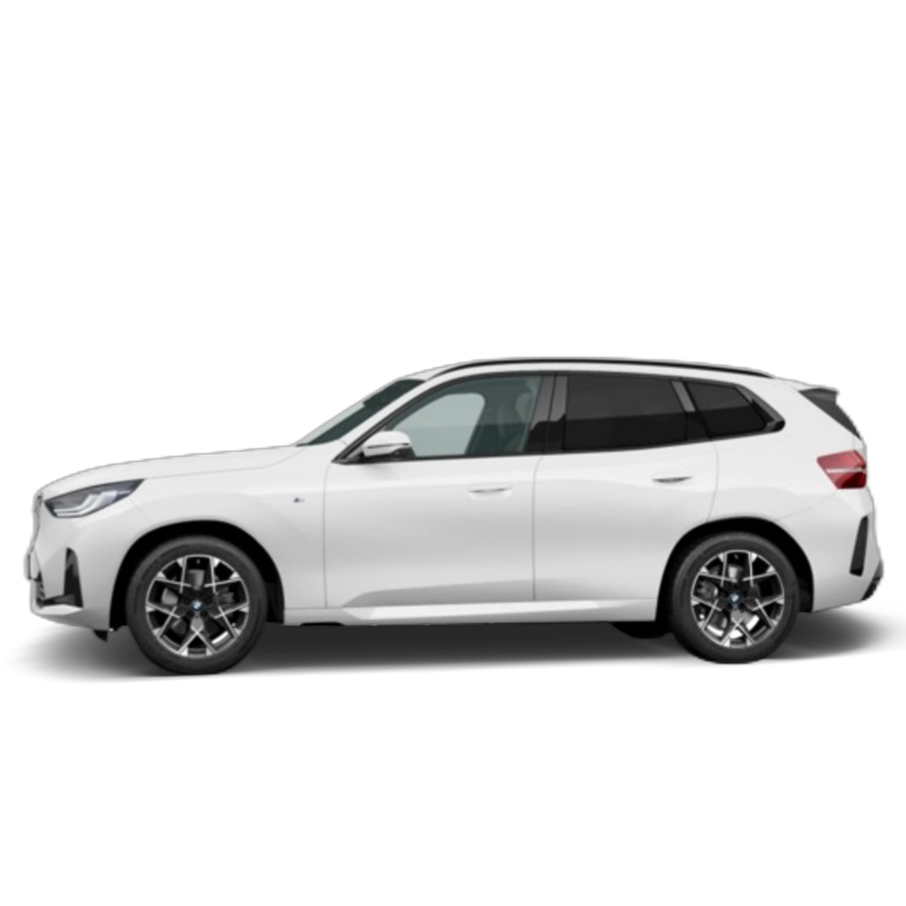 Renting BMW X3 xDrive20d 145 kW (197 CV) 15