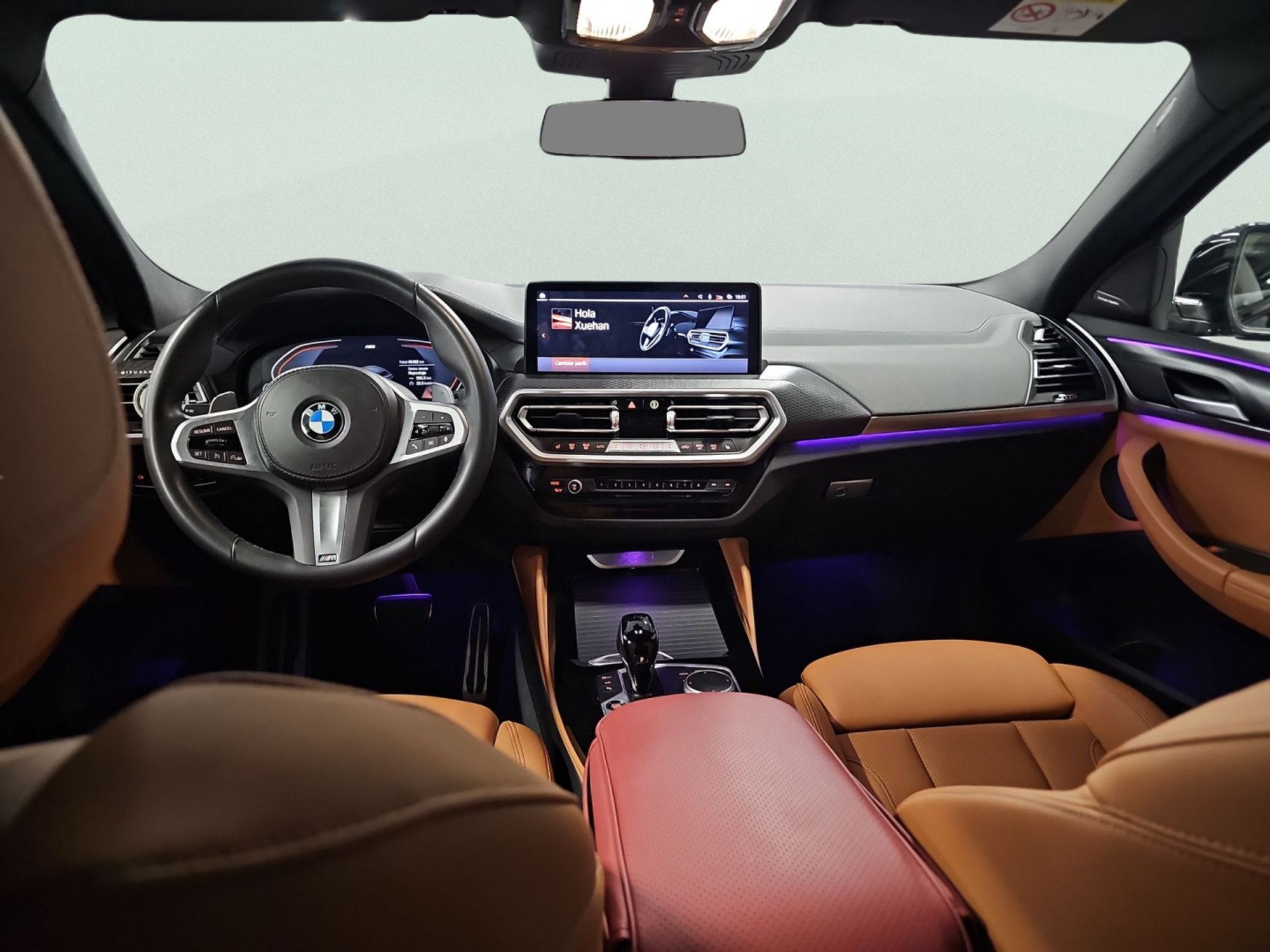 Renting BMW X4 xDrive20d xLine 140 kW (190 CV) 10