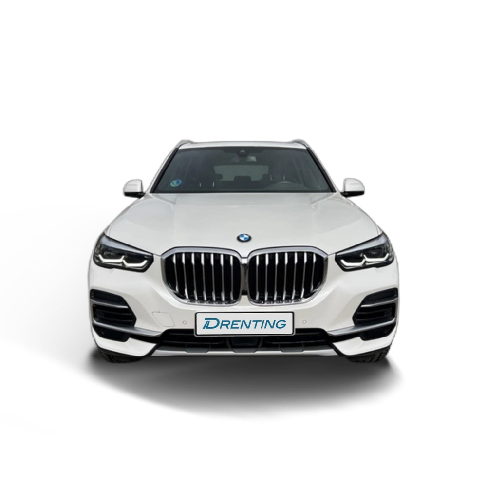 Renting BMW X5 xDrive30d 210 kW (286 CV) 1