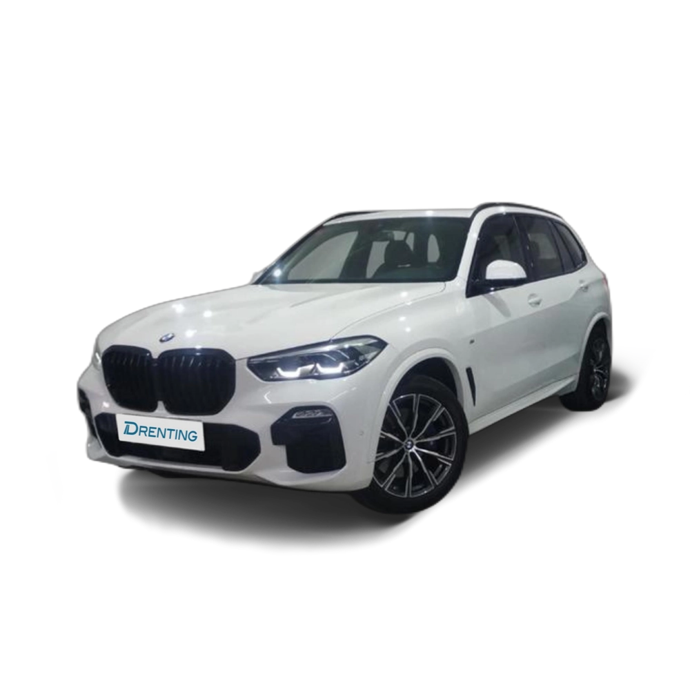 Renting BMW X5 xDrive30d 210 kW (286 CV) 5