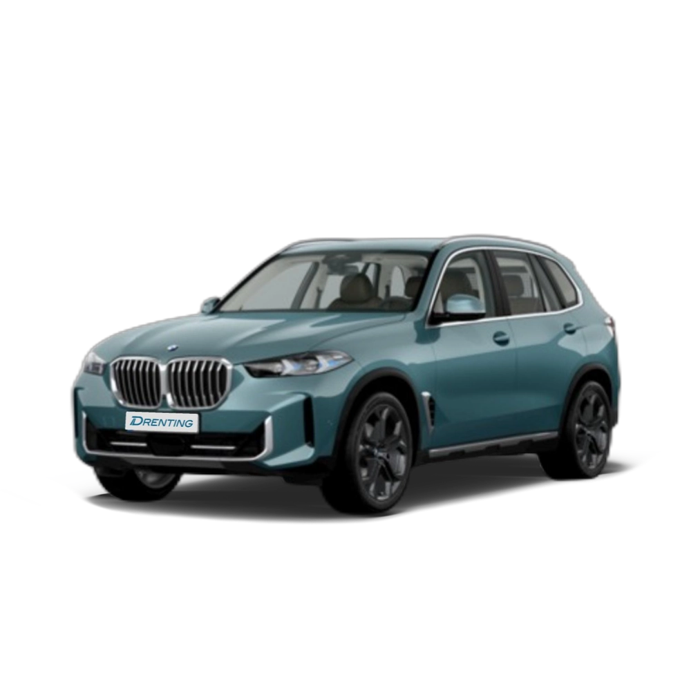 Renting BMW X5 xDrive30d xLine 219 kW (298 CV) 8