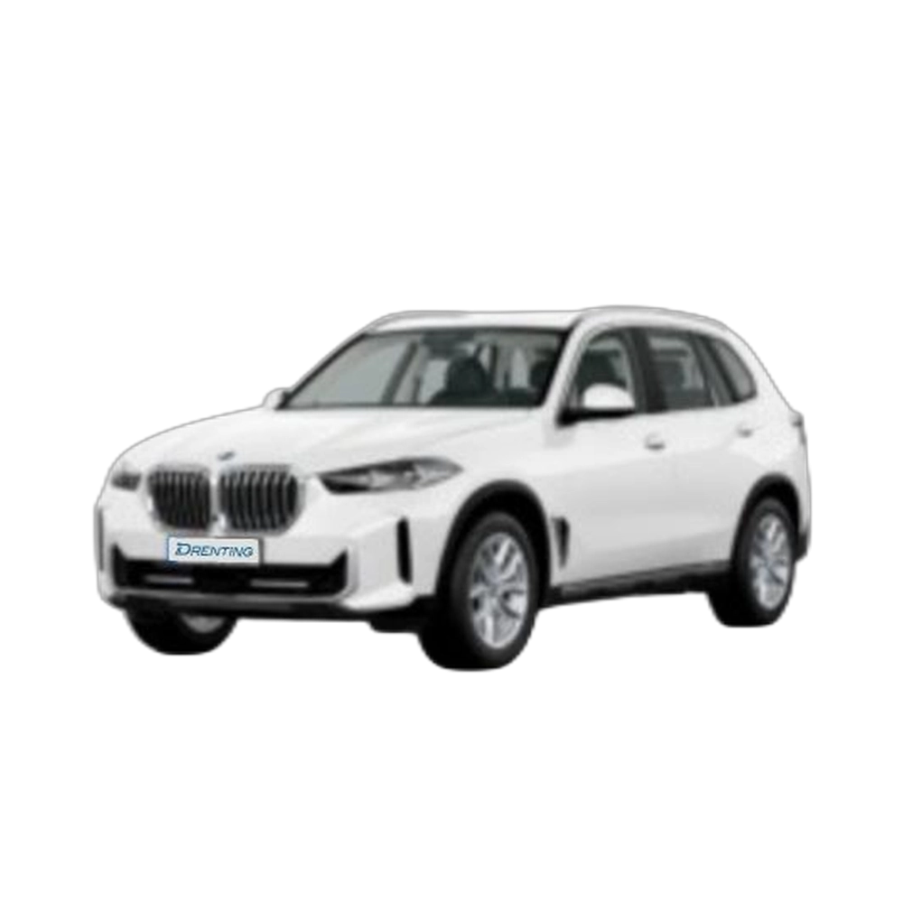 Renting BMW X5 xDrive30d xLine 219 kW (298 CV) 8 2
