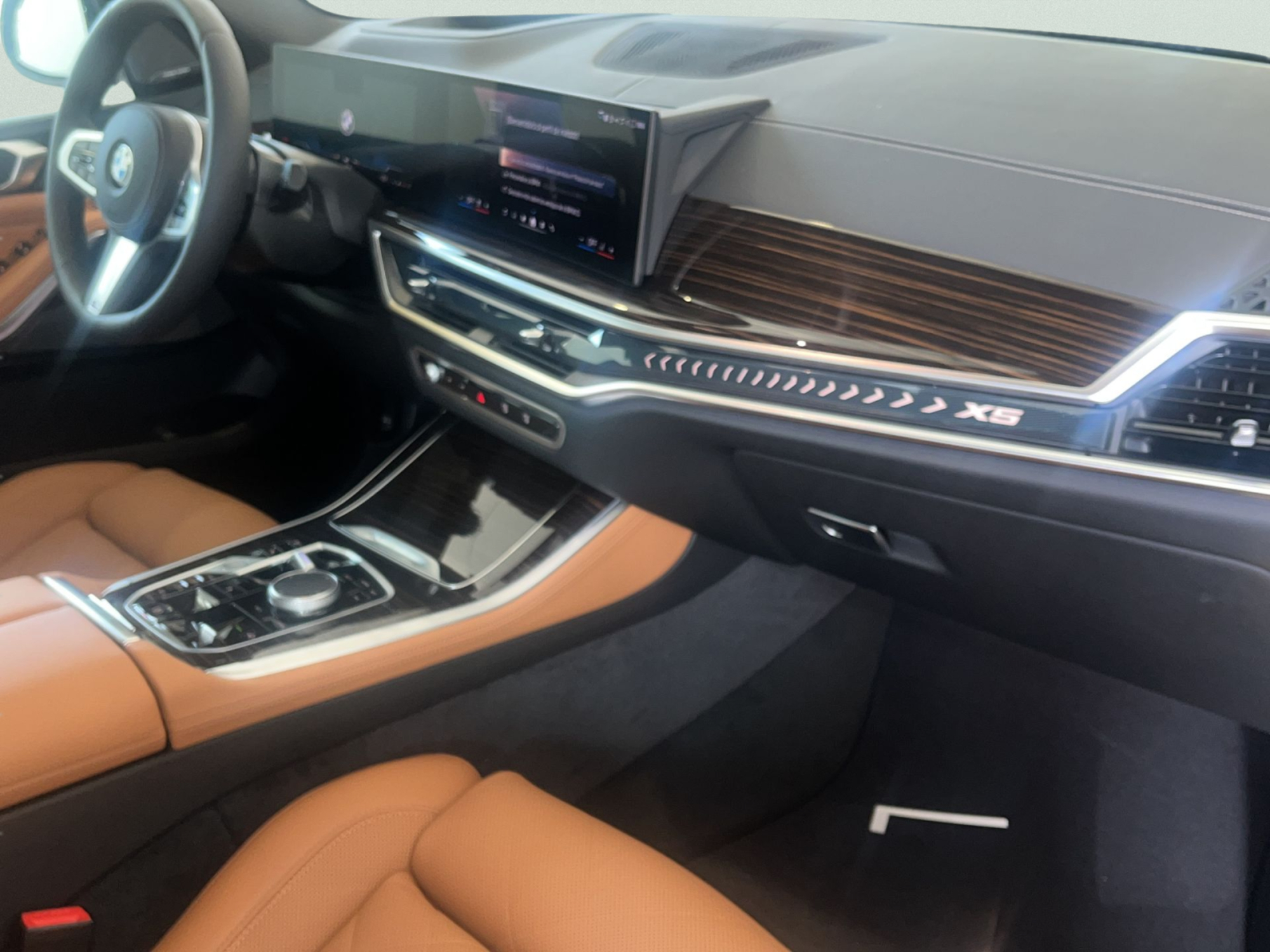Renting BMW X5 xDrive30d xLine 219 kW (298 CV) 9