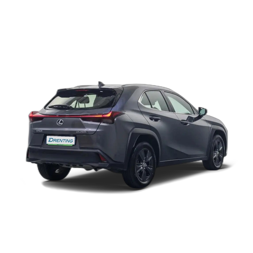 Lexus UX 250h Business City 2WD Gris 1