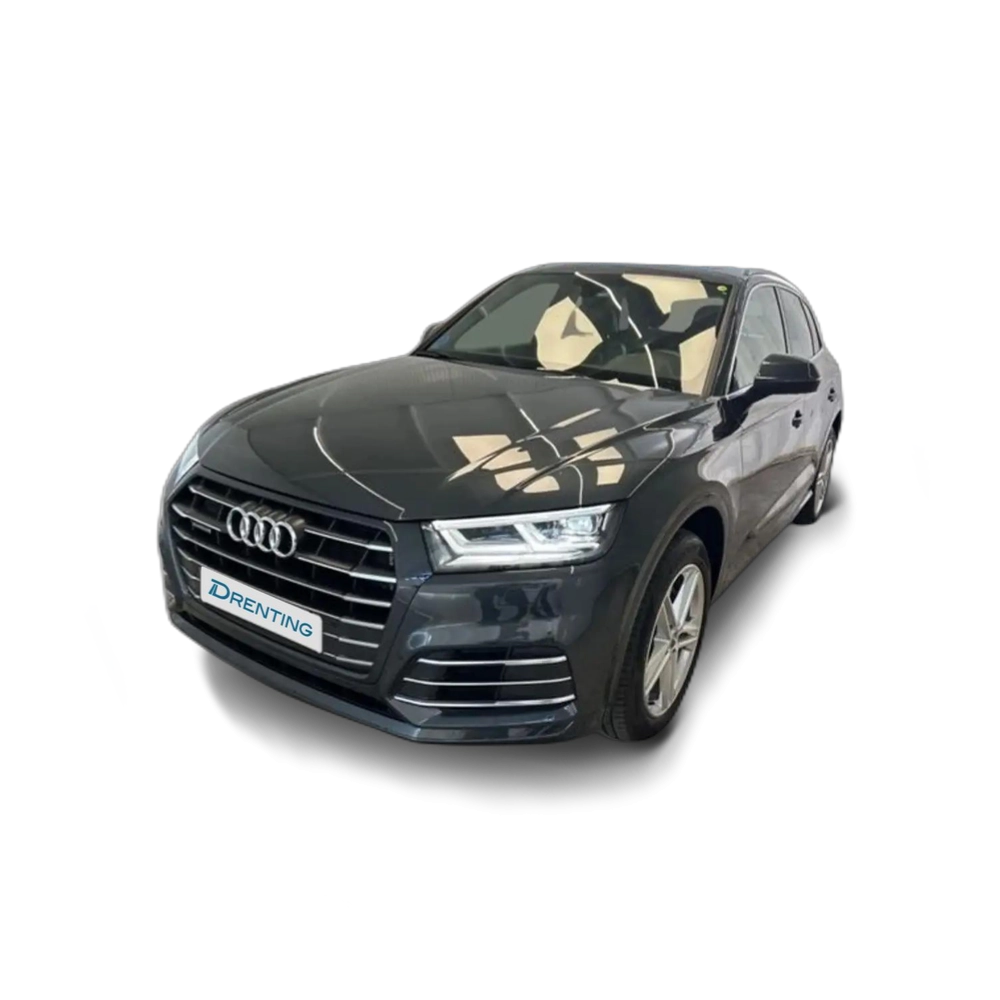 Audi Q5 Competition 55 TFSI e quattro 270 kW (367 CV) S tr Gris