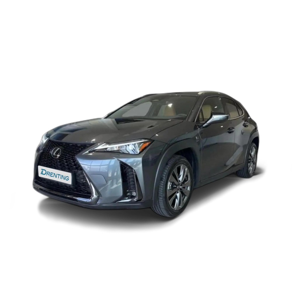 Lexus UX 200 F SPORT Gris