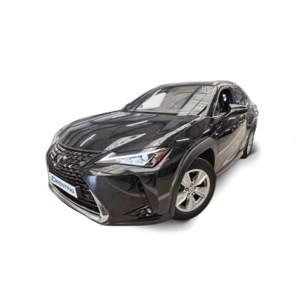 LEXUS UX 250h Business 4WD 1