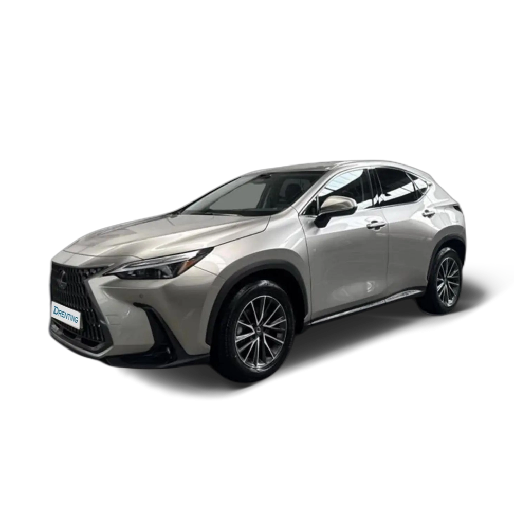 Lexus NX 450h+ PREMIUM + 4WD Gris