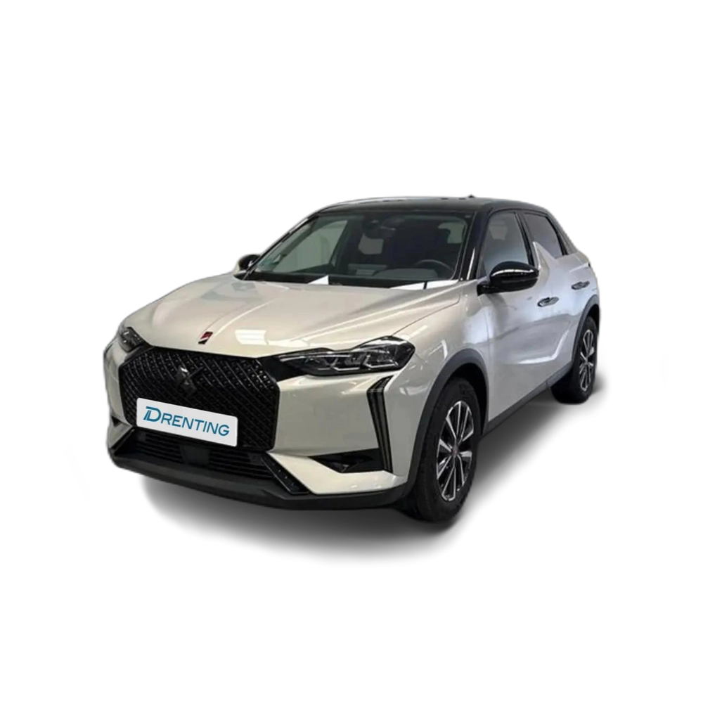 DS Automobiles DS 3 PureTech 96kW  Auto. Performance Line Gris