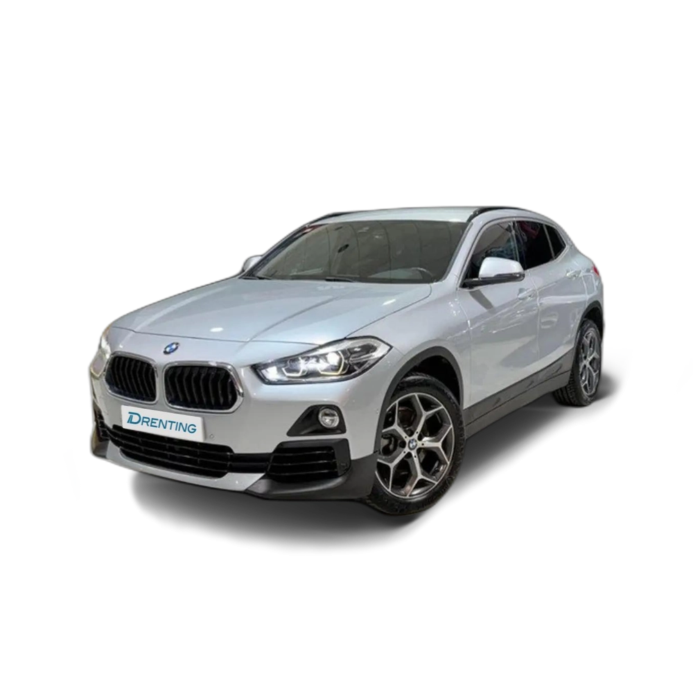 BMW X2 sDrive 18iA Gris