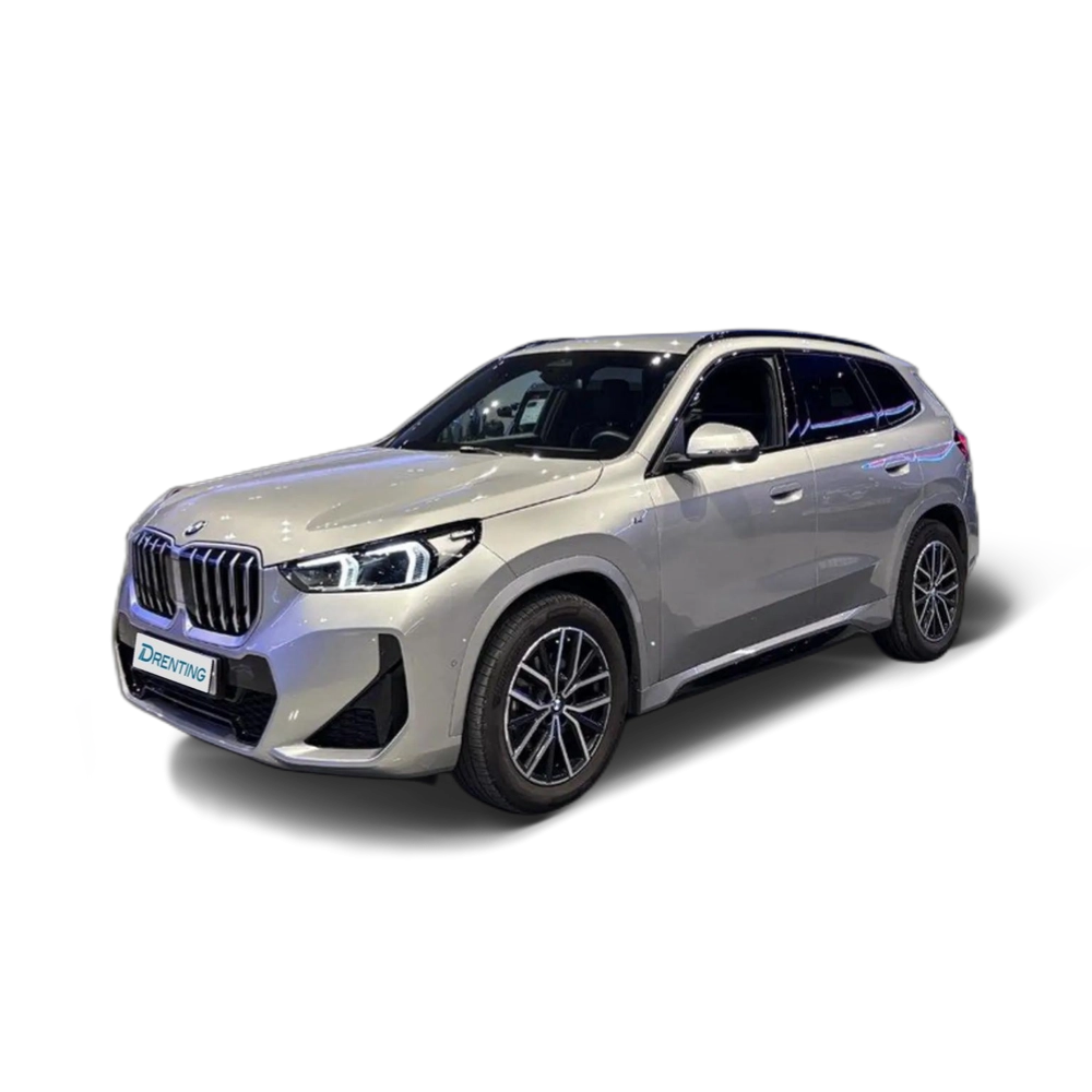BMW X1 sDrive 20dA Gris