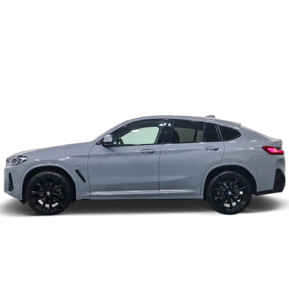 BMW X4 xDrive 20dA xLine Gris 4 3