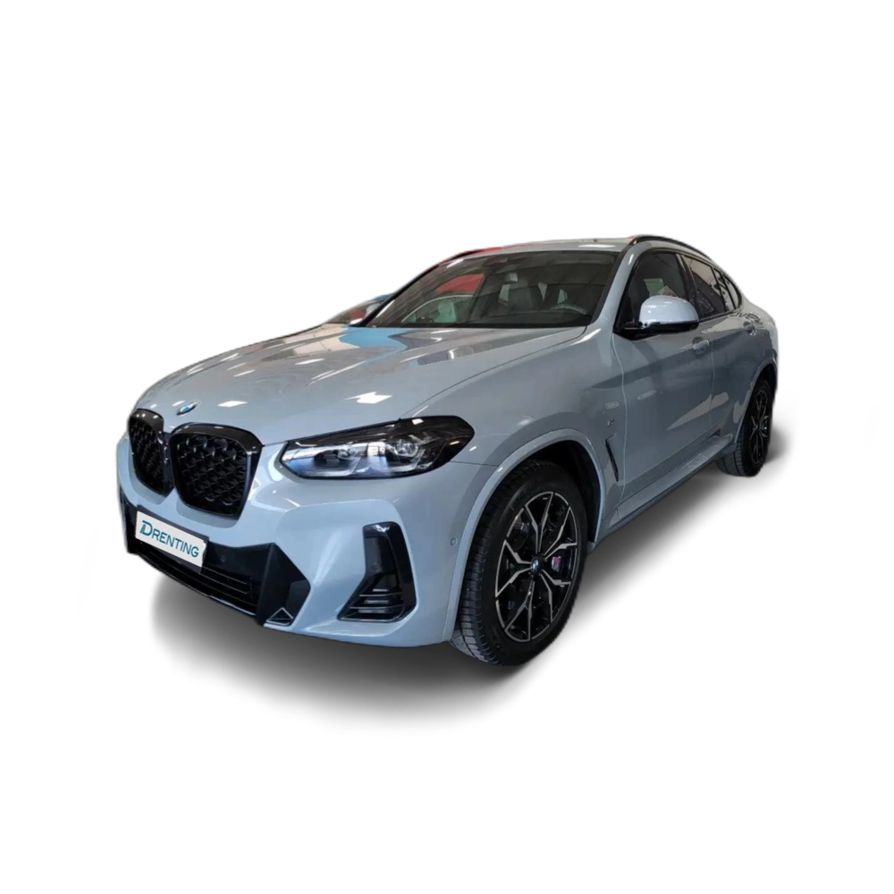 BMW X4 xDrive 20iA xLine M Sport Gris