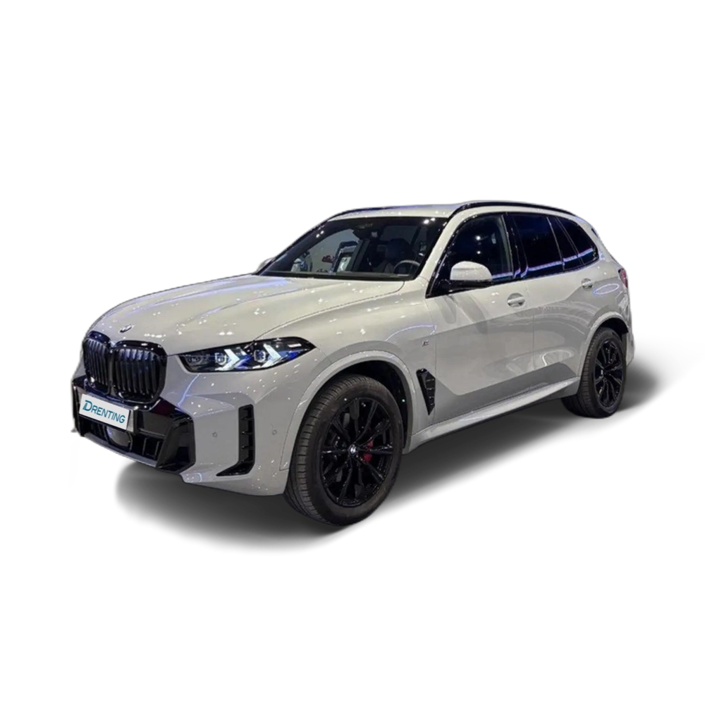 BMW X5 xDrive 30dA xLine Gris