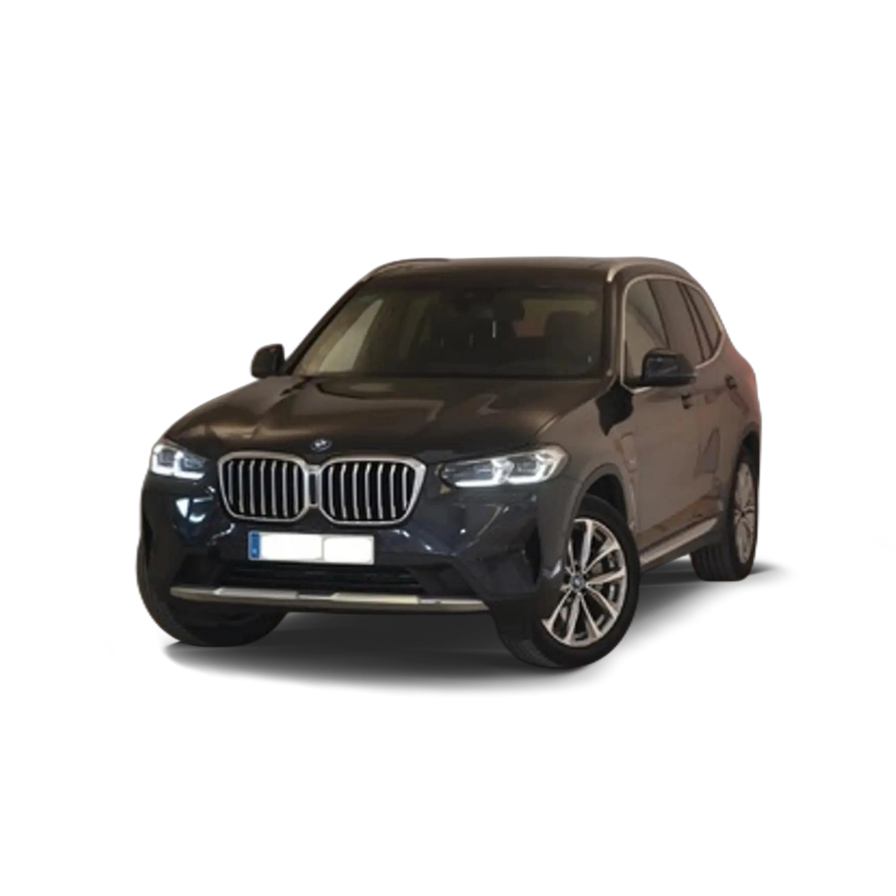 BMW X3 xDrive 30e xLine Gris 4