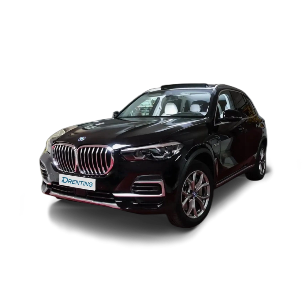 Renting BMW X5 xDrive 45e Negro 4