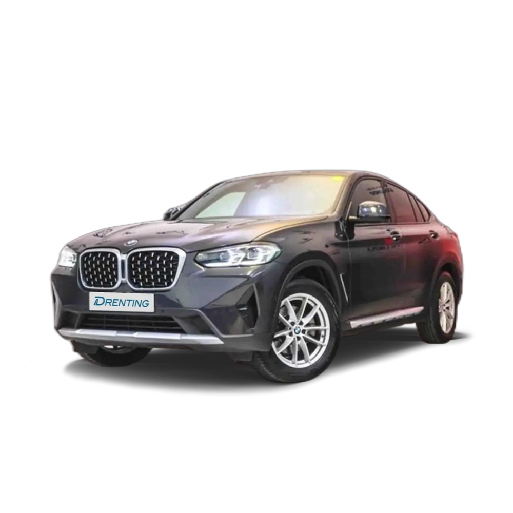 BMW X4 xDrive20d xLine Gris