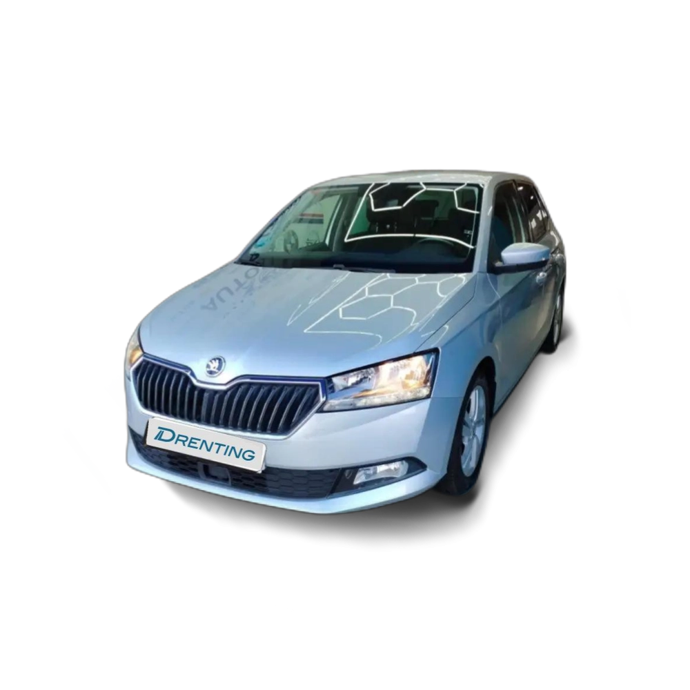 Skoda Fabia 1.0 TSI Ambition 70kW Gris