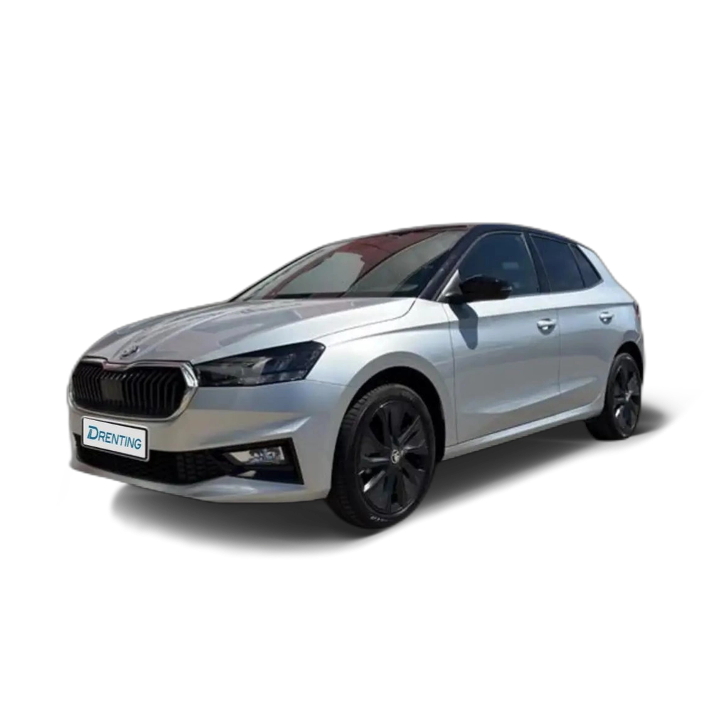 Skoda Fabia 1.0 TSI Selection 70kW Gris 2