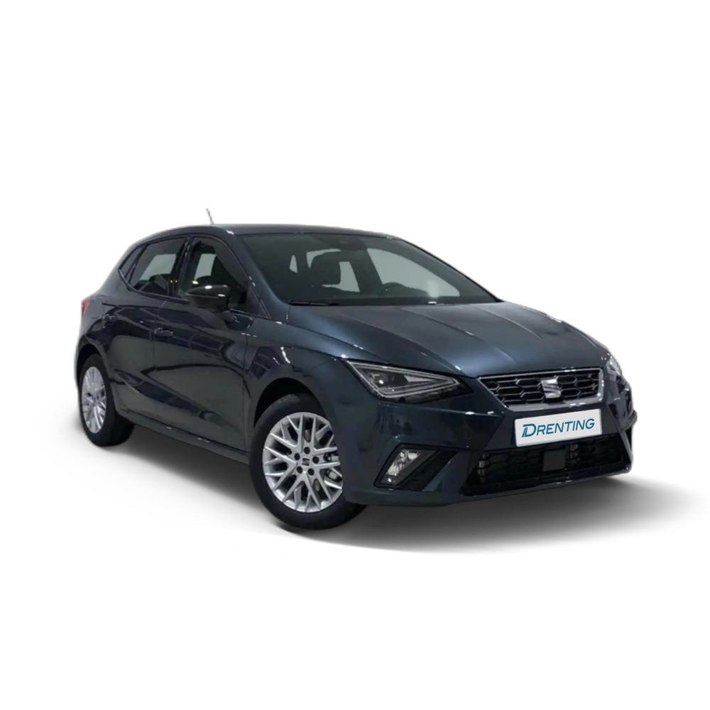 SEAT Ibiza 1.0 TSI S&S FR Salta 115 Gris 1