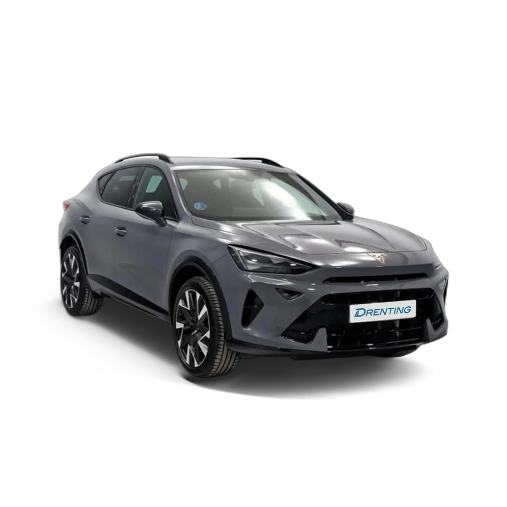 CUPRA Formentor 1.5 eTSI 110kW (150 CV) DSG Gris