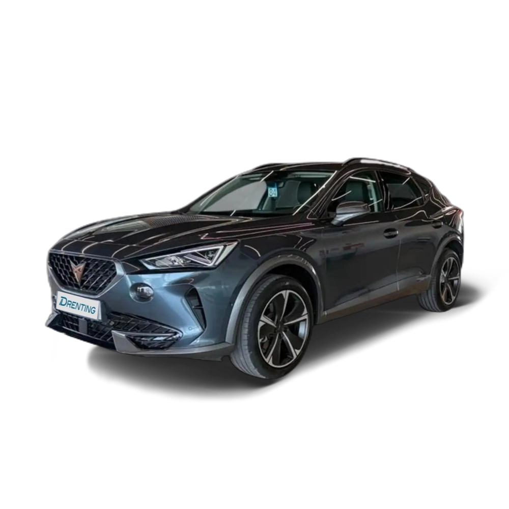 CUPRA Formentor 1.5 TSI 110 kW Gris