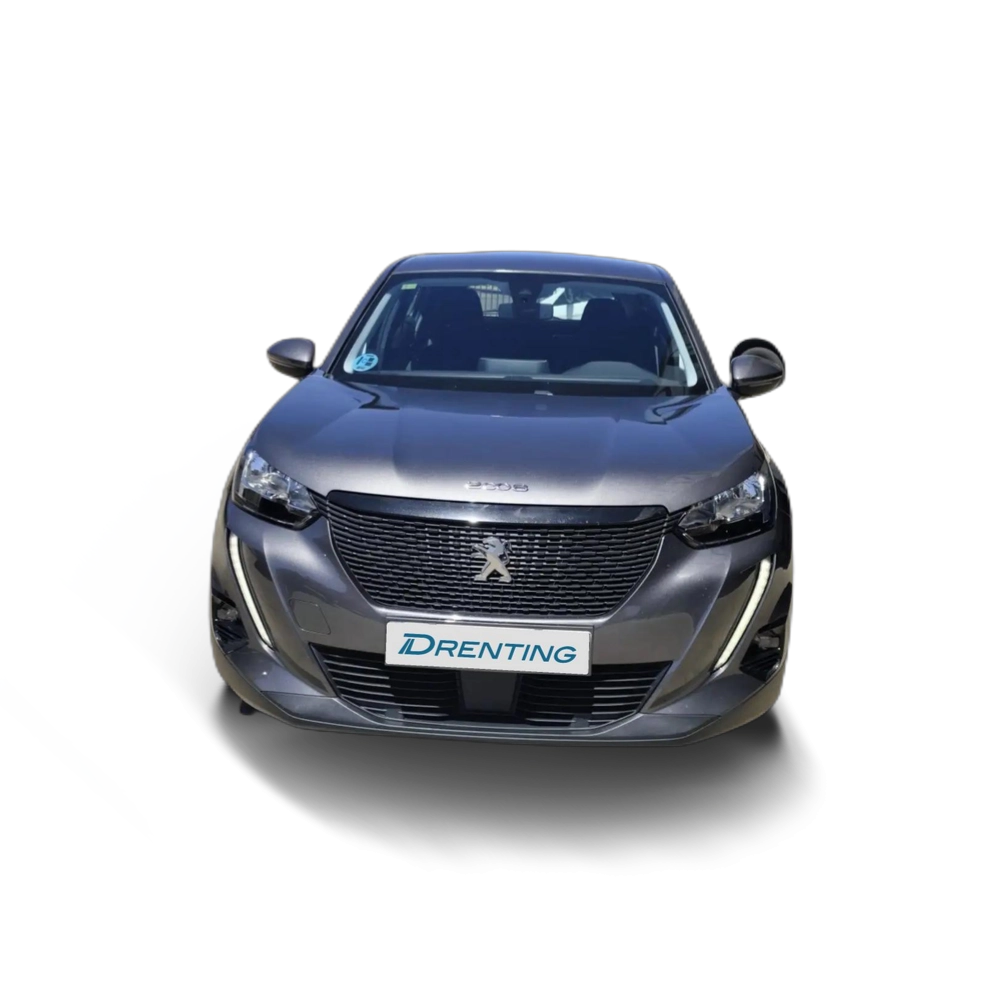 Peugeot 2008 1.5BlueHDi S&S Active 110 Gris 1