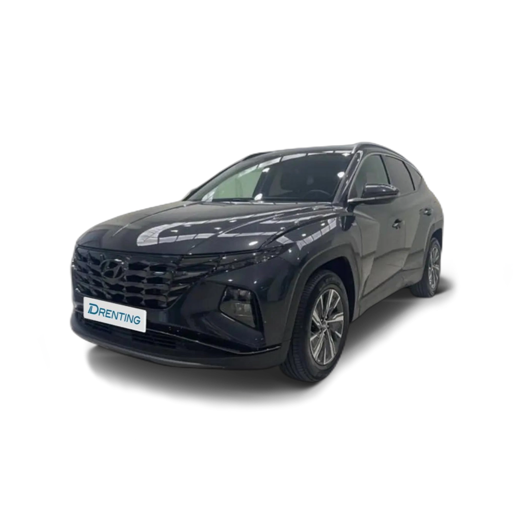 Hyundai TUCSON 1.6 CRDI 100kW (136CV) 48V Maxx Gris
