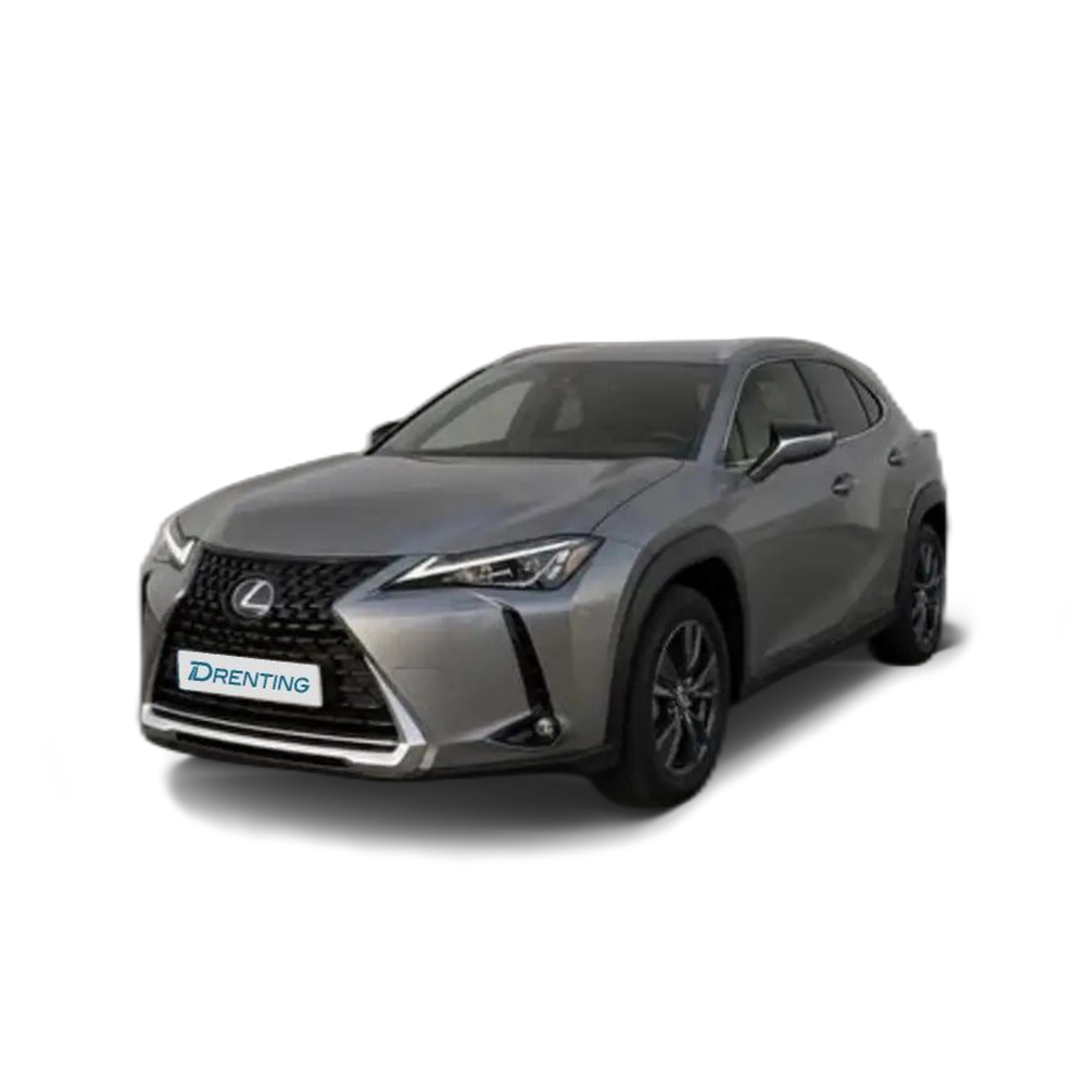 Lexus UX 250h 2.0 BUSINESS AUTO 184 5P Gris