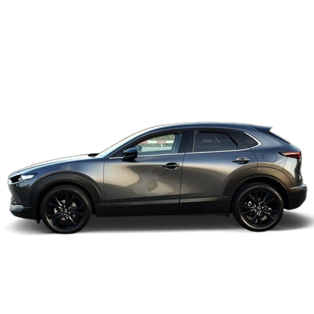Mazda CX-30 2.0 e-Skyactiv-X Homura FWD Aut 137kW Gris
