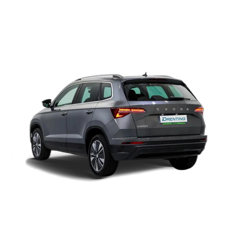 Skoda Karoq 2.0TDI Adblue Ambition 85kW Gris 2